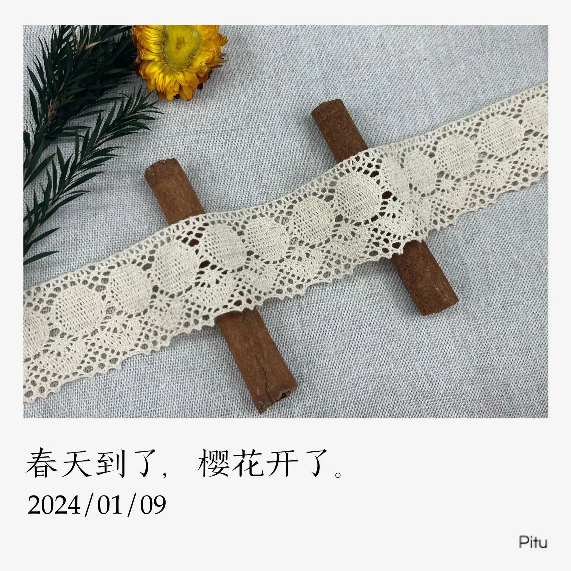 309D60E1DA681934348911C542D373