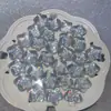 [Serie Plateada Láser] Joyería Hecha a Mano Luminosa de Luciérnaga DIY - Flor de Resina