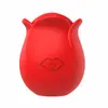 Ovo Vibratório App com Boca Grande em Formato de Rosa Transfronteiriço para Mulheres, Masturbador Sugador e Vibratório, Brinquedo Sexual Erótico para Adultos