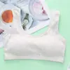 Etapa de Desarrollo Ropa Interior para Niñas Ropa Interior Deportiva de Algodón Puro Estudiante Estudiante de Secundaria Bustier Top Tubo Ropa Interior para Niña Grande Chaleco para Mujer