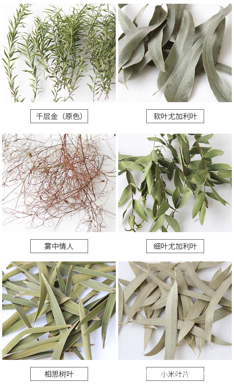 中文_07