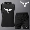 Colete de Secagem Rápida Transfronteiriço Moda Casual Shorts Esportivos Conjunto Verão Cor Sólida Estampado Roupa de Treino Fitness Conjunto de Duas Peças