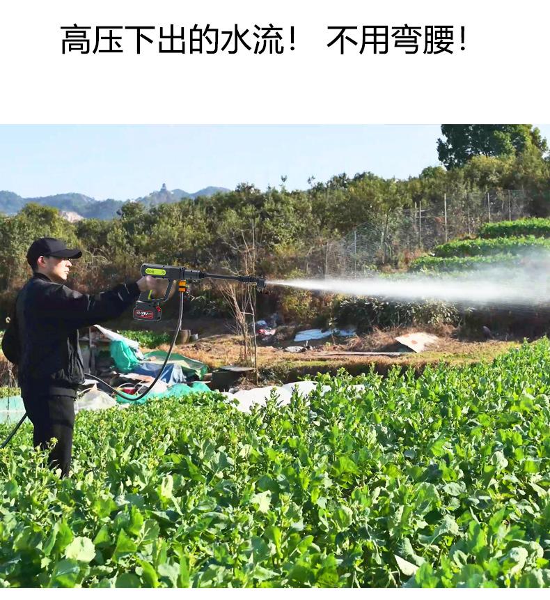 大白枪详情_07