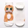 Nuevos Calcetines de Algodón Estilo Japonés y Coreano para Primavera y Verano para Mujer Calcetines de Mascota de Dibujos Animados Calcetines Lindos de Gato y Perro para Mujer Lote