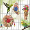3 Peças Brinquedos para Pássaros Suprimentos para Mastigar Papagaio Ferramentas Bola de Rattan Madeira de Grama Combinação Transfronteiriça Conjunto de Brinquedos para Papagaio