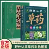 Guia de Campo Autêntico para Identificar e Coletar Ervas Medicinais com Ilustrações Coloridas, Guia de Campo Compilado de Alta Qualidade para Identificar e Coletar Ervas Medicinais Chinesas com Ilustrações Coloridas