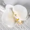 Pétalas de cabeça de flor phalaenopsis de filme artificial acessórios de flor artificial adorno de cabeça grampo de cabelo diy feito à mão decoração de casamento