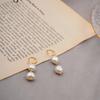 Aretes de Perlas de Agua Dulce, Estilo Palacio Retro, Aretes Estilo Europeo y Americano, Accesorios y Joyería Largos Personalizados Vintage Otoño e Invierno