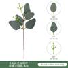 Folhas de Eucalipto Artificiais Ramo Único com Frutos Haste Curta Folhas de Dinheiro Folhas de Maçã Arranjo de Flores Decorativo Folhagem Artificial