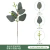 Galhos de Eucalipto Artificiais Eucalipto de Galhos Curtos Transfronteiriço Decoração DIY com Eucalipto Frutado Folhas de Eucalipto Plantas Verdes Artificiais Flores Artificiais