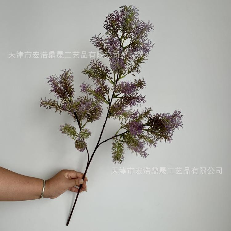 微信图片_20230904085317_副本