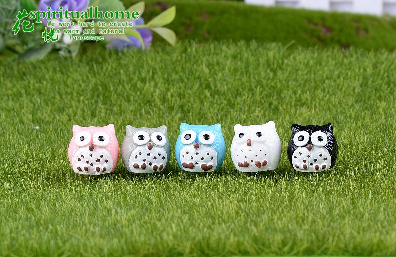 小号 5色猫头鹰 (3)