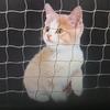Suministro directo de fábrica nueva red de protección de seguridad para balcón de mascotas gato pesaje red anti-escape transparente anti-salto red para ventana valla