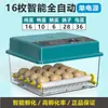 Incubadora totalmente automática, incubadora inteligente de huevos de aves de corral, directo de fábrica, disponible para exportación y comercio transfronterizo