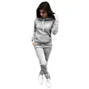 Otoño e invierno 2024 nuevas explosiones ropa de mujer ebay Amazon wish traje deportivo con capucha de forro polar europeo y americano mujer