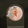 Pendientes Europeos y Americanos Transfronterizos Exagerados de Metal con Forma de Hoja Colgante de Oreja Conejo Mariposa Hoja de Arce Personalizados Sin Agujero para la Oreja Temperamento Sentido Avanzado Pendientes