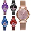 Sonido de sacudida más vendido imán Red social sonido de sacudida con cielo estrellado Reloj de mujer perezoso pequeño cisne reloj de dama una generación de cabello