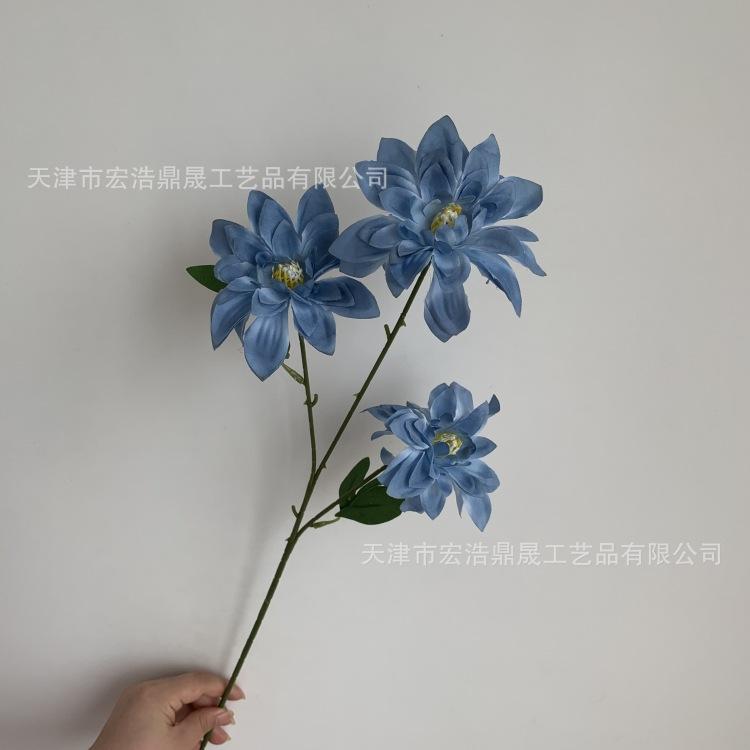 微信图片_20230811172731_副本