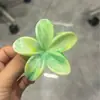 Presilha de cabelo fofa e elegante para cabelos grossos, tamanho grande, pinça de tubarão em formato de coração com franjas, presilha de garra com laço vintage