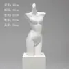Accesorios de Modelo de Ropa Interior Torso Femenino Masculino Soportes de Exhibición de Ventana de Plástico Maniquí Apilamiento de Pecho De Zhu