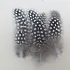 Venda Direta de Fábrica de Quase 100 Tipos de Acessórios Naturais de Penas Pequenas para Joias DIY, Acessórios de Cabeça, Broches, Chapéus, Materiais de Decoração para Artesanato