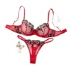 Conjunto de lencería de malla transparente bordado con mariposas rojas, con sujetador push-up y tanga, se vende en cantidades al por mayor