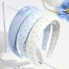 Diadema de Esponja Estilo Coreano Fresca Primavera Combinable Azul Claro Flor Delicada Rota Lado Ancho Diadema Parte Superior Craneal Alta Accesorios para el Cabello