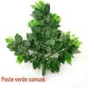 Folhas de Ficus Simuladas Parecem Coladas Galhos Falsos Folhas Plantas Verdes Decoração de Engenharia de Outono Decoração de Jardinagem Atacado