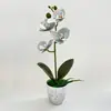 Orquídea Phalaenopsis Artificial Planta en Maceta de 4 Flores Set Adorno Decorativo para Sala de Estar Decoración de Planta en Maceta de Orquídea Phalaenopsis Planta Artificial