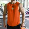Comércio Exterior Transfronteiriço 2023 verão masculino esportivo lazer músculo fitness malha regata masculina brócolis
