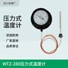 Termómetro de presión WTZ-280 temperatura del agua de caldera temperatura del aceite remoto vapor termómetro de aguja Shanghai Tianchuan