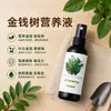 Não é necessária diluição Solução nutritiva especial Money Tree Folhas amarelando fertilizante de folhagem Vasos de plantas Money Tree fertilizante especial