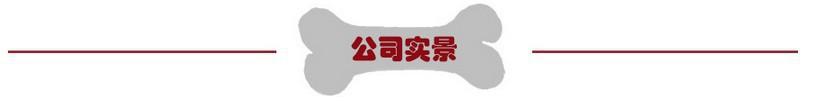 公司实景横