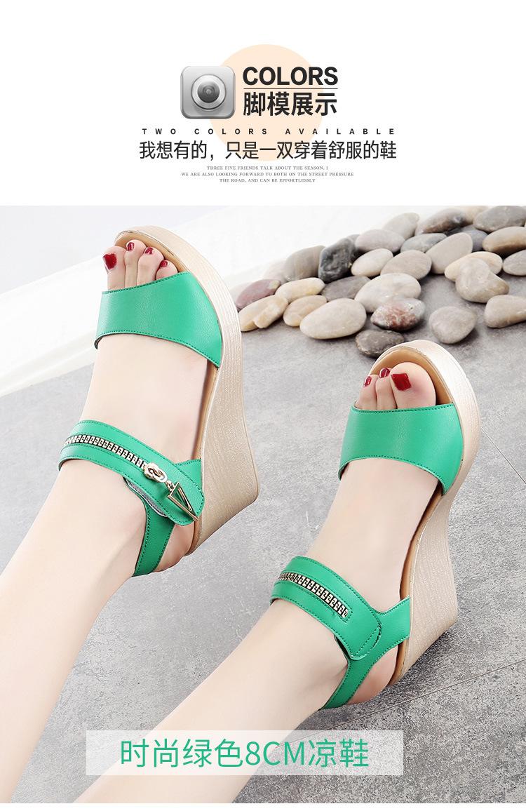 5595详情页标准_09.jpg