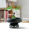 Dropshipping Temu Etiqueta Transfronteiriça Sem Etiqueta Bandeja de Bergamota Retro Chinês Bola de Musgo Hidropônica Vaso de Flores Prato de Frutas Bandeja de Lanches