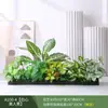 Paisagismo com Plantas Verdes Simulação Floreira Divisória de Piso Arte Floral de Chão Paisagem de Plantas Combinação de Floreira Flor Artificial em Vaso Bonsai Decoração