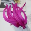Al por mayor 25-45 cm Máscara de Plumas de Cola de Gallo Colorida Tocado Manualidades DIY Accesorios Decorativos para Ropa Plumas