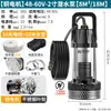 Bomba Sumergible sin Escobillas Fujiwara 48V60V72V Bomba de Agua Dedicada para Batería de Vehículo Eléctrico para Riego de Hortalizas y Riego Agrícola