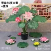 Folhas de Lótus, Flores de Lótus, Flores de Lótus Artificiais, Hastes de Plantas Verdes Grandes de Plástico, Decorações de Piscina, Performances Fotográficas, Adereços de Dança, Outros Aveludados