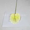 Película Individual de Anturio para Simulación Decoración de Interiores Fila de Flores Guía de Camino Ramo de Flores Decoración para Bodas en Casa Palmera Flamenco Flor Artificial