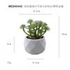 Flocado Verde tamaño pequeño Inmortaceae Simulación Planta Falsa Suculenta en Maceta Planta Verde Bonsái Decoración de Escritorio Regalo Planta de Simulación