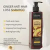 KORMESIC Filipinas Empaque Totalmente en Inglés Champú y Acondicionador de Jengibre Anti-Caspa Control de Grasa Set Certificado por la FDA Comercio Exterior Mayorista
