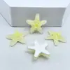 Acessórios de Resina Coloridos com Glitter Transparente de Estrela do Mar e Concha Presilhas de Cabelo Fivelas de Sapato Materiais para Acessórios de Bolsa e Chapéu DIY