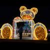 Arco de Luz LED para Exterior con Forma de Copo de Nieve, Luz de Paisaje, Espectáculo de Luces de Túnel de Tiempo, Iluminación Festiva Brillante