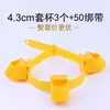 Conjunto Fixador de Suporte para Árvores com Tiras de Copo para Plantas de Jardim, Estrutura de Suporte à Prova de Vento e Anti-Queda, Fixador de Suporte de Suporte para Árvores