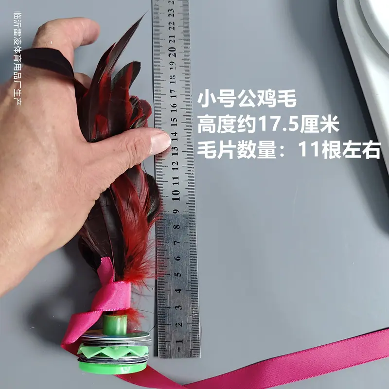 微信图片_20260629145528_97_4_副本.jp