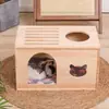 Cama multicamadas para gatos em madeira maciça, casa para gatos em madeira maciça, cama para cachorro, cama grande de luxo para gatos, casinha pequena para cachorros Teddy