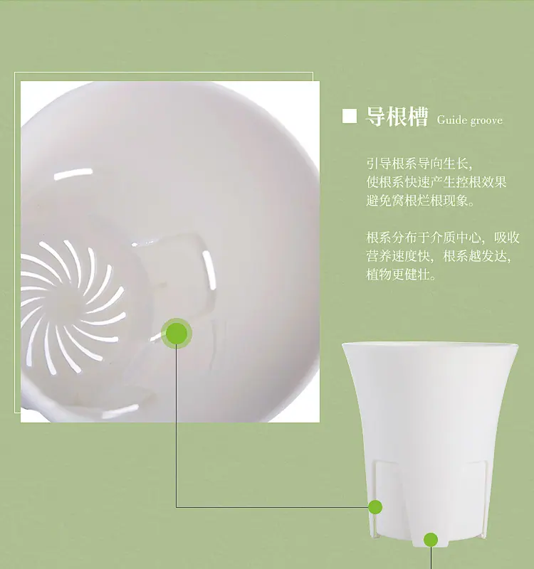 控根万象盆_05