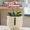 Maceta de Cerámica con Plato para Uso en el Hogar, Exquisita Estilo Ins Blanco Lujo Ligero Minimalista Estilo Crema Maceta para Orquídeas Suculentas