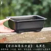 Maceta Rectangular Pequeña de Resina para Uso Doméstico, Cerámica de Imitación Arena Púrpura, Adecuada para Plantas Verdes, Bonsái de Árbol de Banyan, Venta al por Mayor